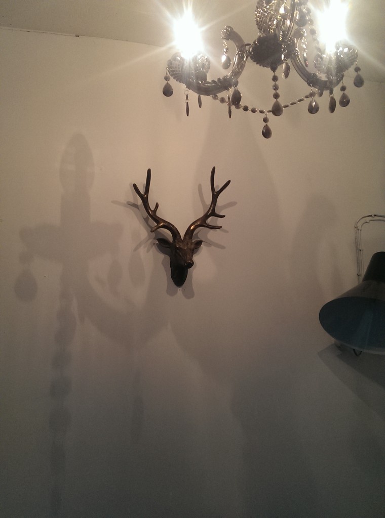 Meet Geoffrey. He became a sort of mascot to the studio....
