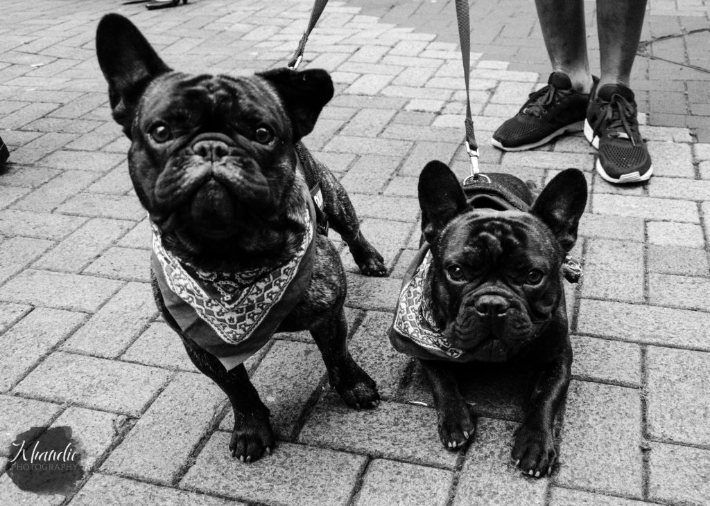 Hughie and Louie were most popular